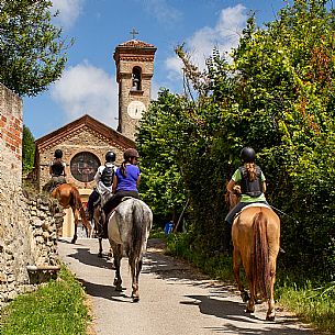 Horse riding Alta Langa